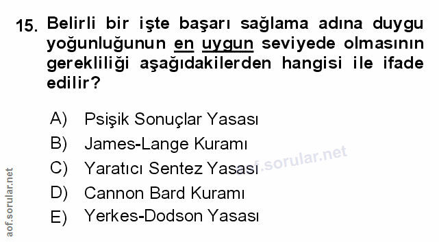 Soru 15
