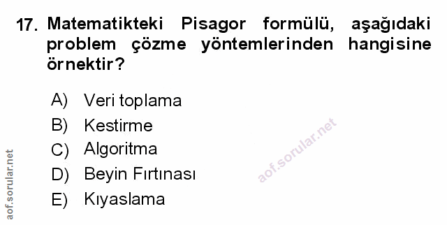 Soru 17