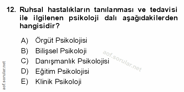 Soru 12