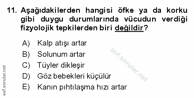 Soru 11