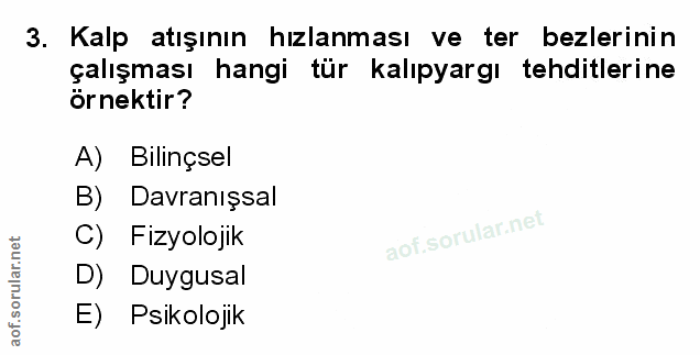 Soru 3