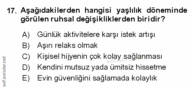 Soru 17