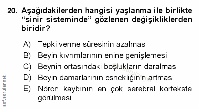 Soru 20
