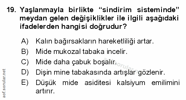 Soru 19