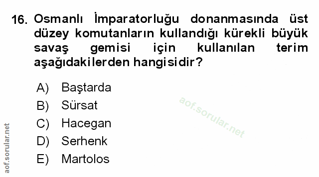 Soru 16