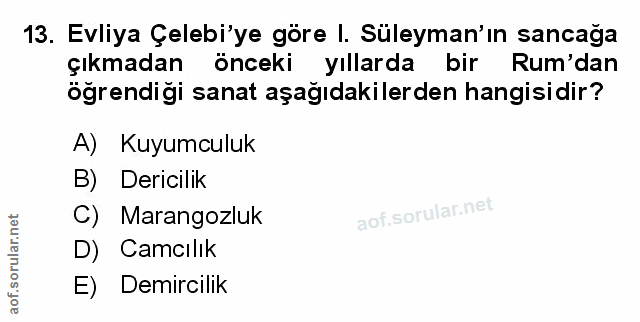 Soru 13