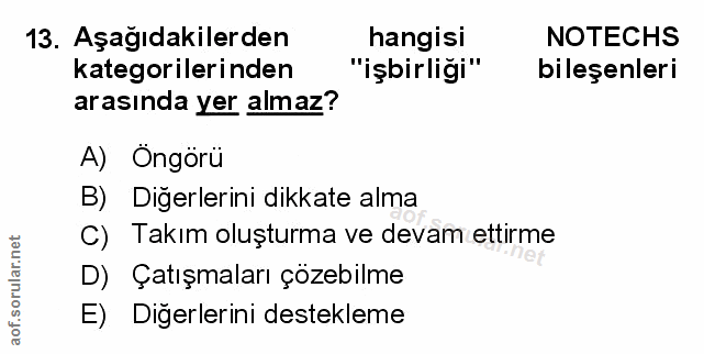 Soru 13