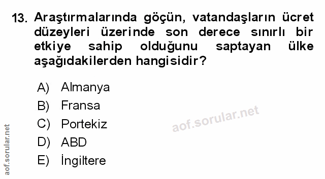 Soru 13
