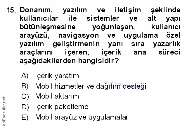 Soru 15