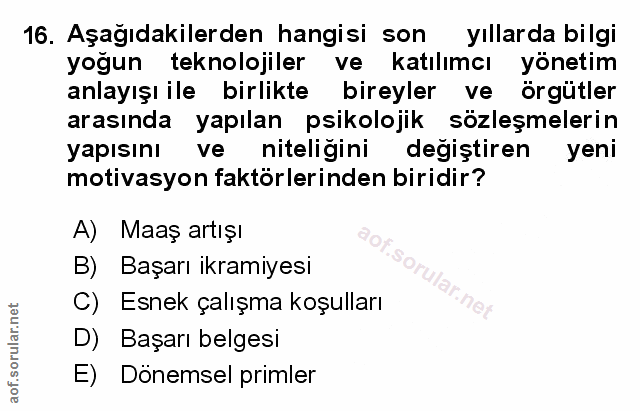 Soru 16
