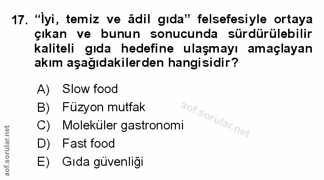 Soru 17