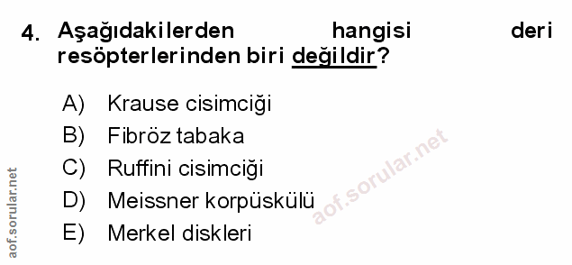 Soru 4