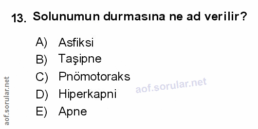 Soru 13