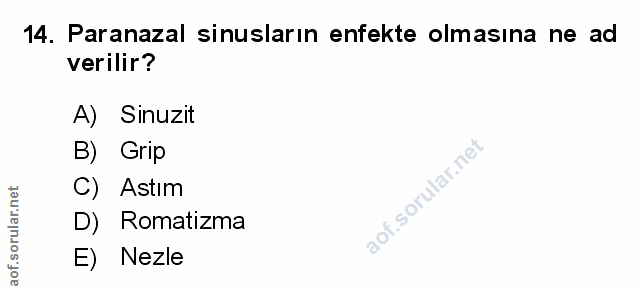 Soru 14