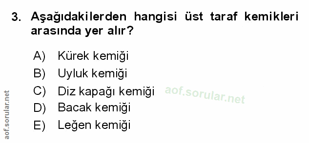 Soru 3