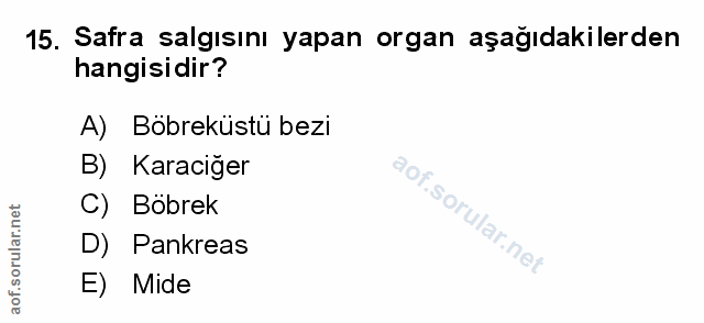 Soru 15