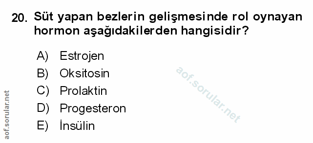 Soru 20