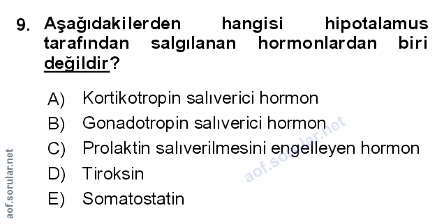 Soru 9