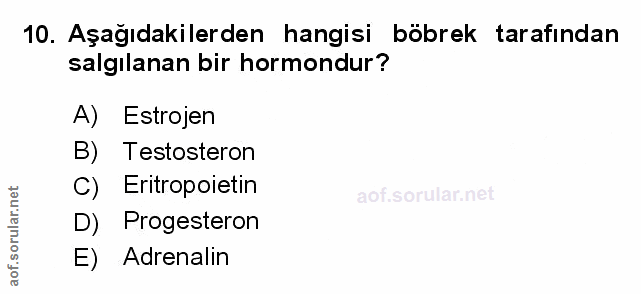 Soru 10