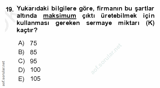 Soru 19