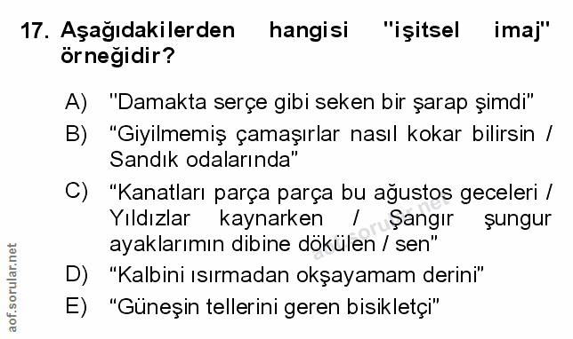 Soru 17