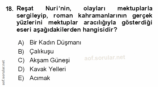 Soru 18