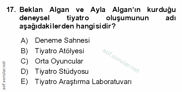 Soru 17