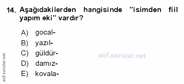 Soru 14