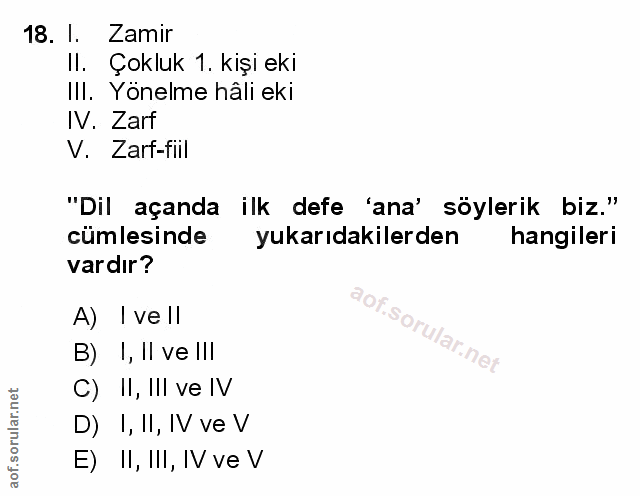 Soru 18