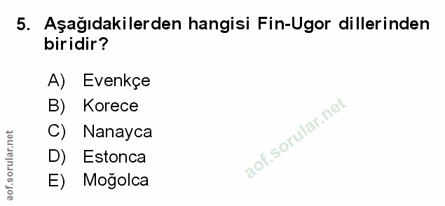 Soru 5