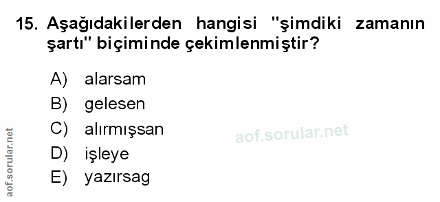 Soru 15