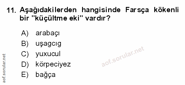 Soru 11