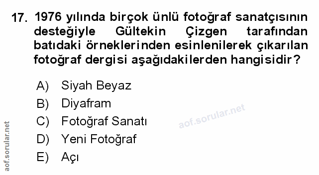 Soru 17