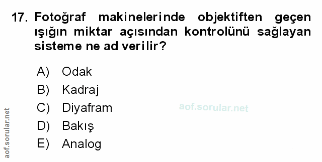 Soru 17