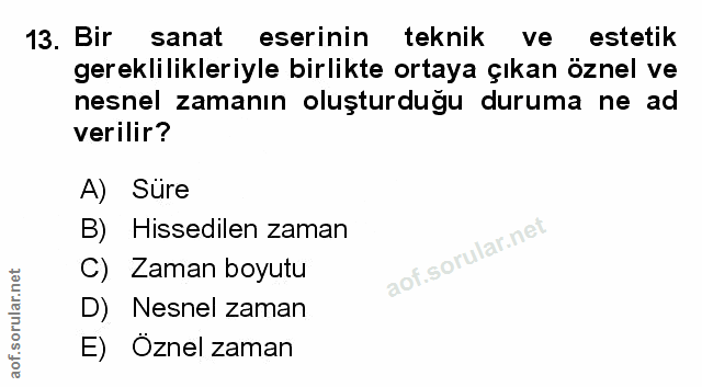 Soru 13