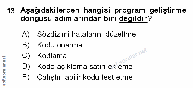 Soru 13