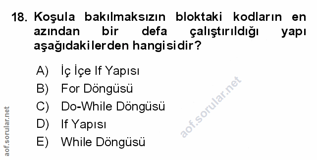 Soru 18