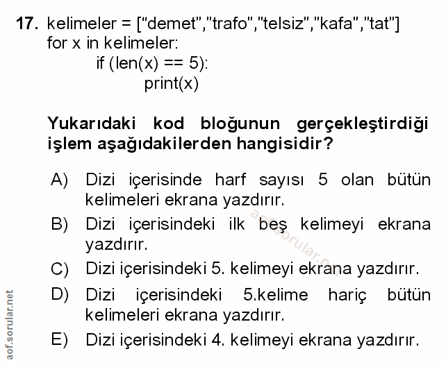 Soru 17
