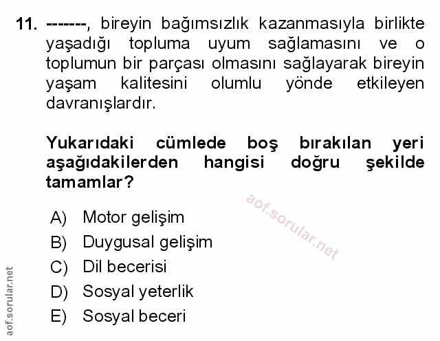 Soru 11