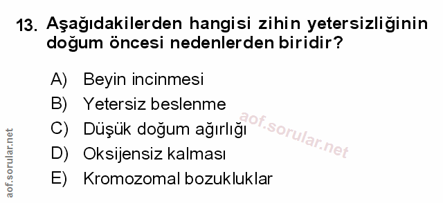 Soru 13