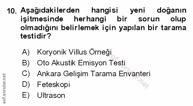 Soru 10