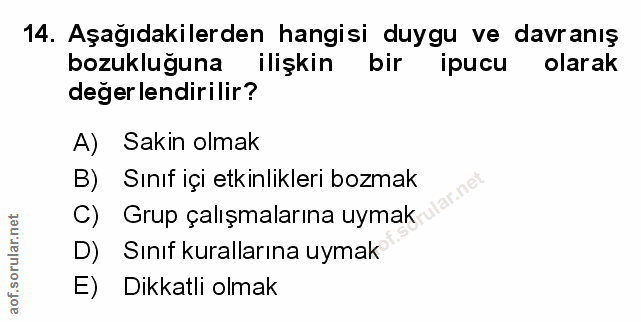 Soru 14