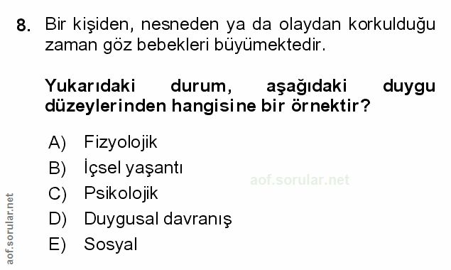 Soru 8