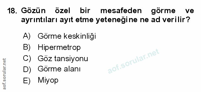 Soru 18