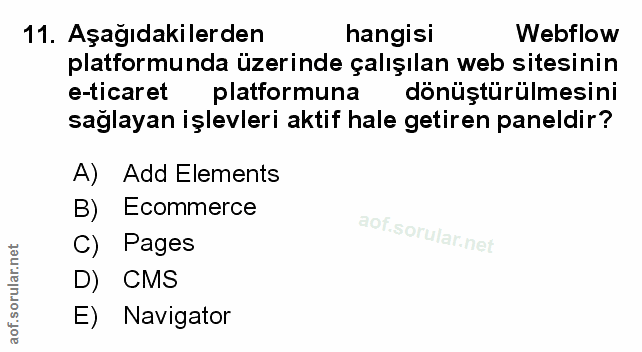 Soru 11