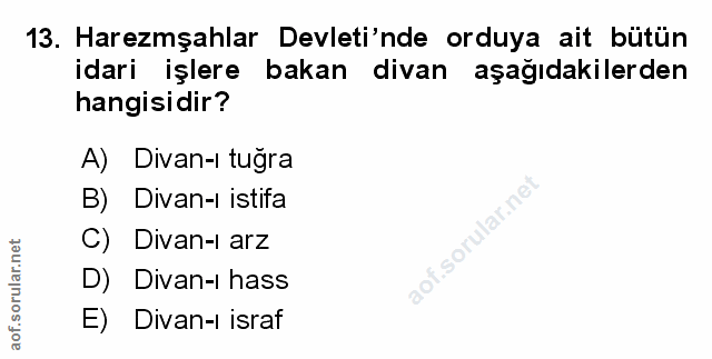 Soru 13