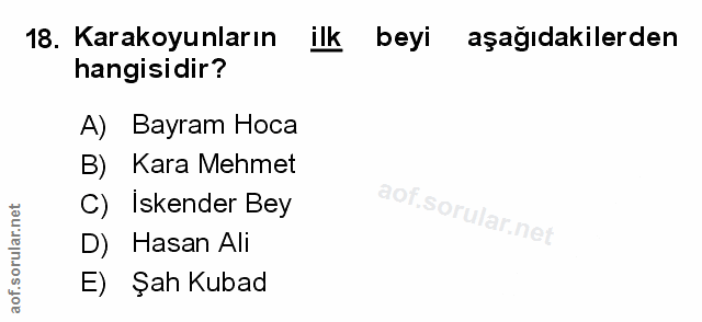 Soru 18