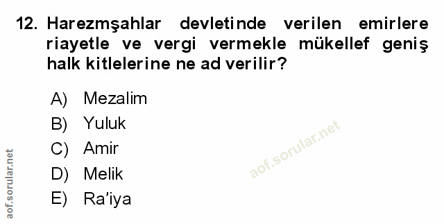 Soru 12