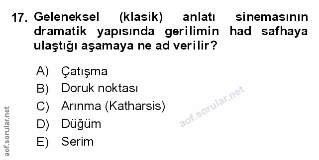 Soru 17