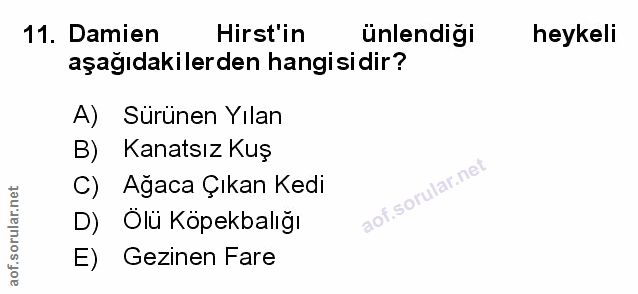 Soru 11